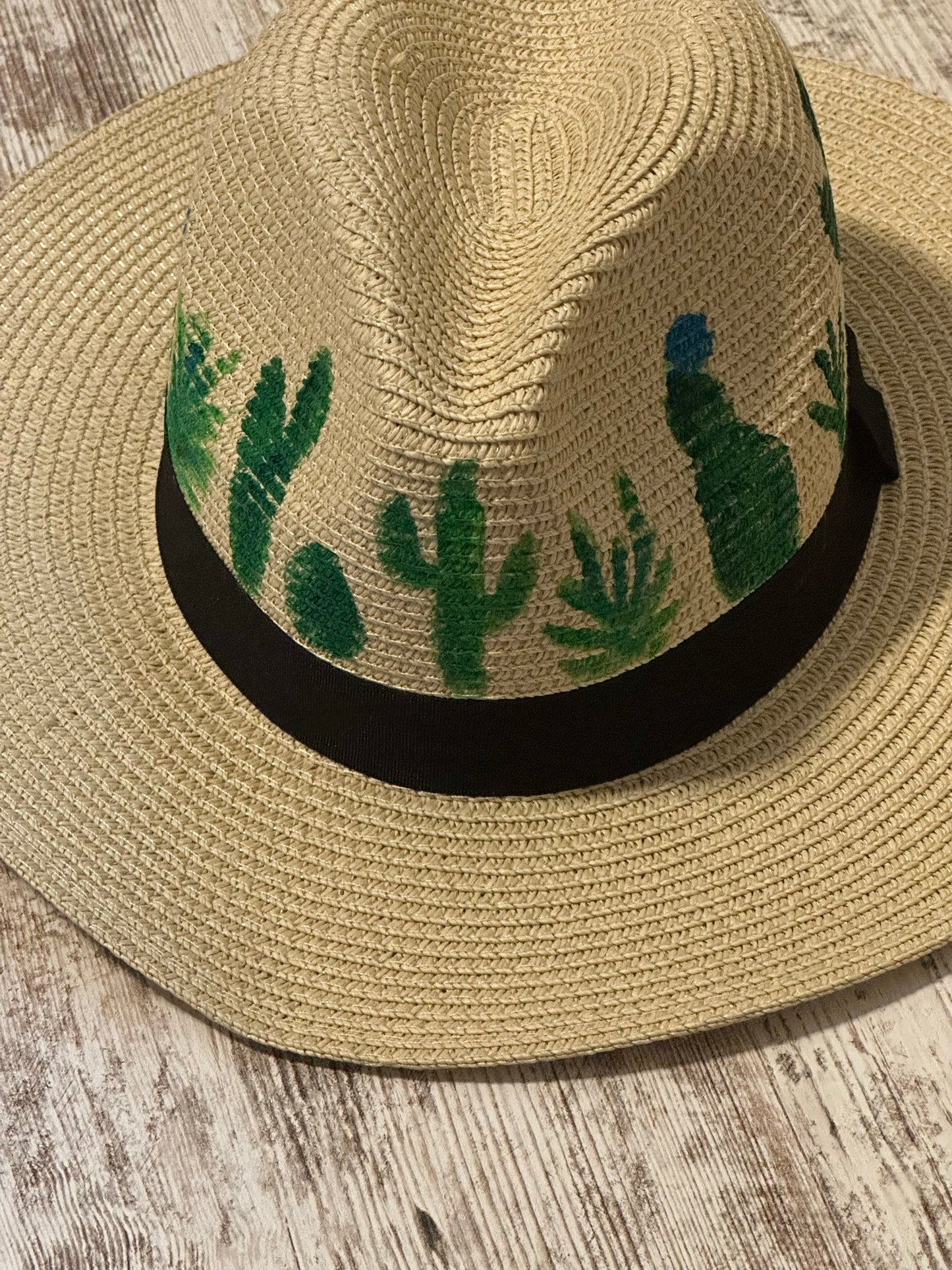 Cactus Painted Beach Fedora